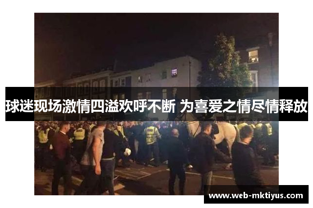 球迷现场激情四溢欢呼不断 为喜爱之情尽情释放