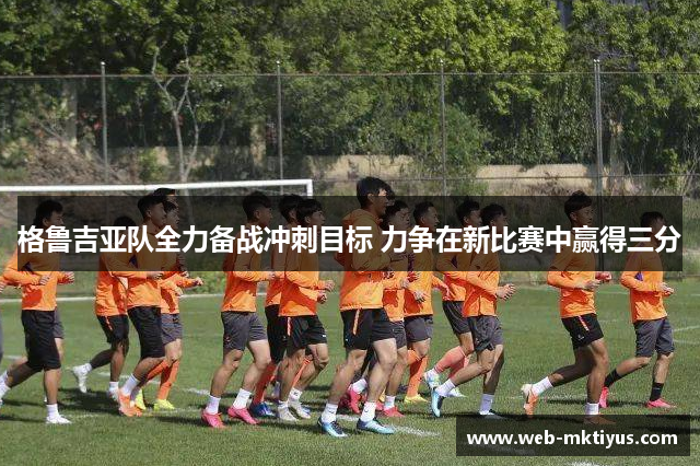 格鲁吉亚队全力备战冲刺目标 力争在新比赛中赢得三分