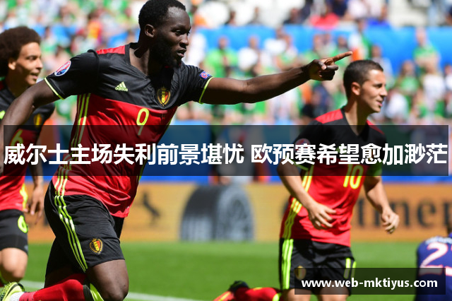 威尔士主场失利前景堪忧 欧预赛希望愈加渺茫