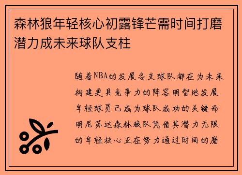 森林狼年轻核心初露锋芒需时间打磨潜力成未来球队支柱