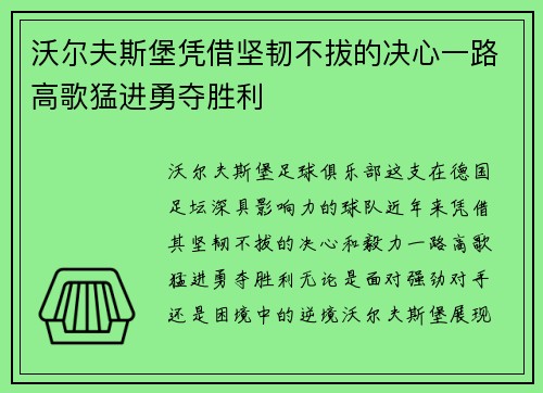 沃尔夫斯堡凭借坚韧不拔的决心一路高歌猛进勇夺胜利