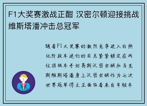 F1大奖赛激战正酣 汉密尔顿迎接挑战维斯塔潘冲击总冠军