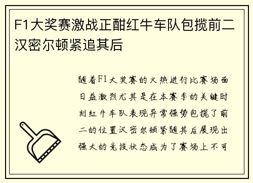 F1大奖赛激战正酣红牛车队包揽前二汉密尔顿紧追其后